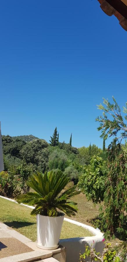 Villa Milagro - 3 Bedroom Finca Style Villa With Pool Near Golf Course/Beaches - Air Cond. Pollença Eksteriør billede